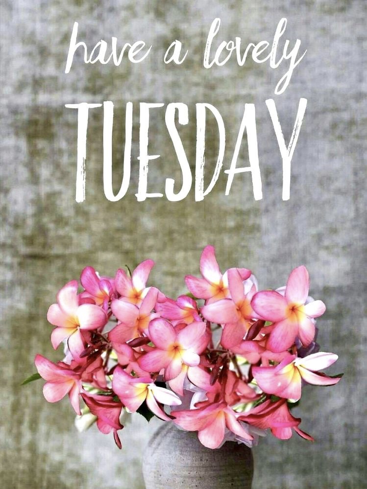 Have a lovely Tuesday