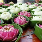 ลอยกระทง