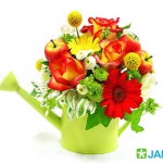 ดอกไม้สวยๆ อวยพรวันเกิด แบบที่ (10)