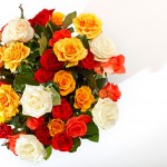ดอกไม้สวยๆ อวยพรวันเกิด แบบที่ (27)
