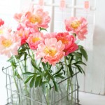 ดอกไม้สวยๆ อวยพรวันเกิด แบบที่ (44)