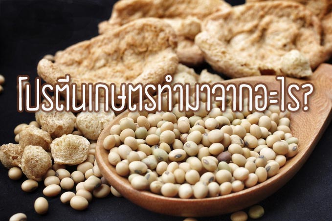โปรตีนเกษตร ทำมาจากอะไร