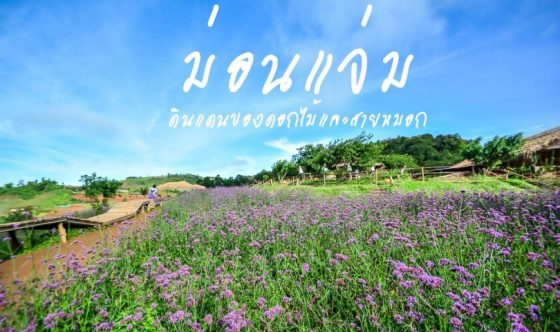 ม่อนแจ่ม