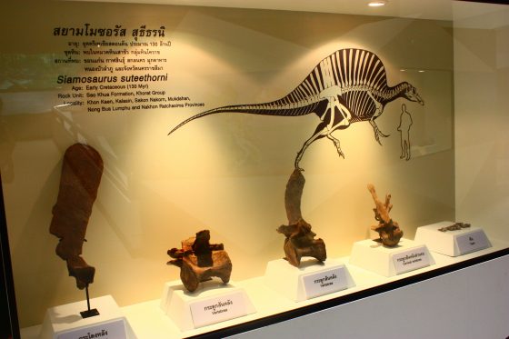 ไดโนเสาร์ภูเวียง