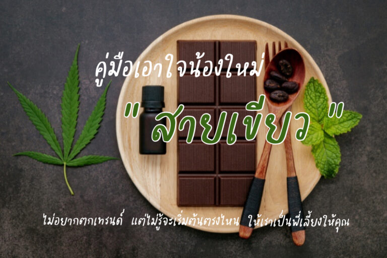 คู่มือเอาใจน้องใหม่สายเขียว