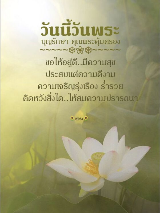 สวัสดีวันพระ ขอให้อยู่ดี มีความสุข
