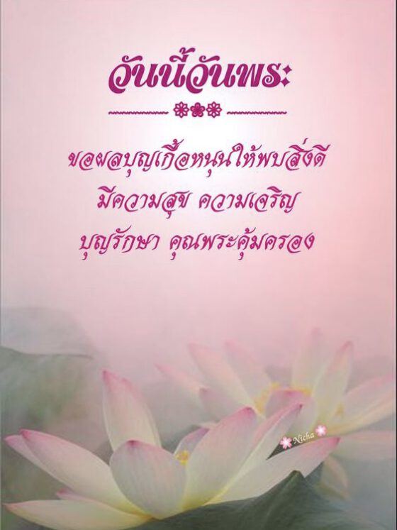 วันนี้วันพระ ผลบุญเกื้อหนุน