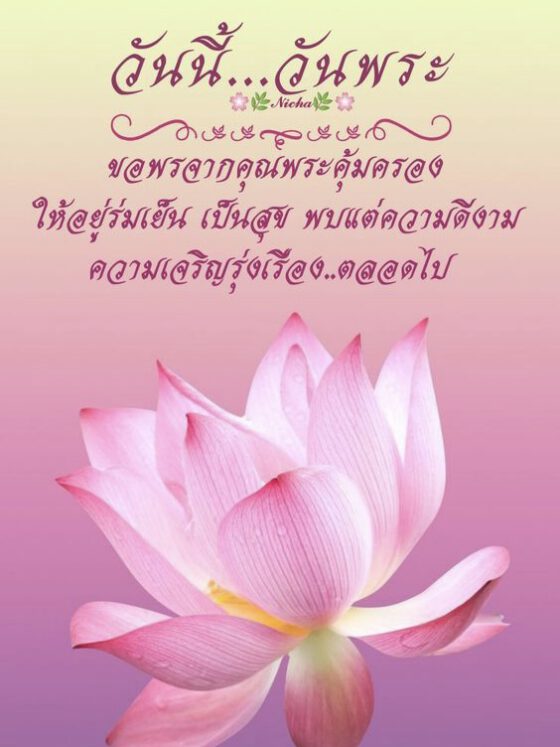 วันนี้วันพระ ขอพรจากคุณพระ