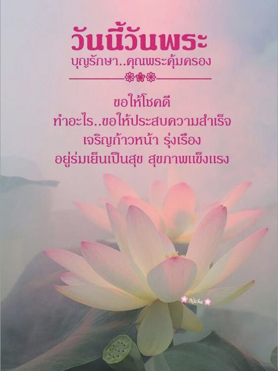 วันนี้วันพระ ขอให้โชคดี