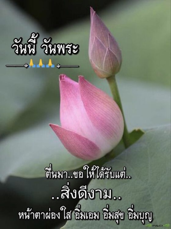 วันนี้วันพระ สิ่งดีงาม