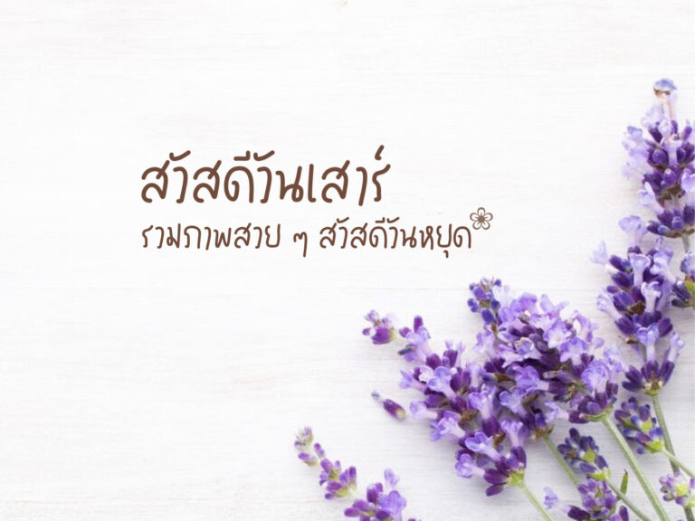 สวัสดีวันเสาร์