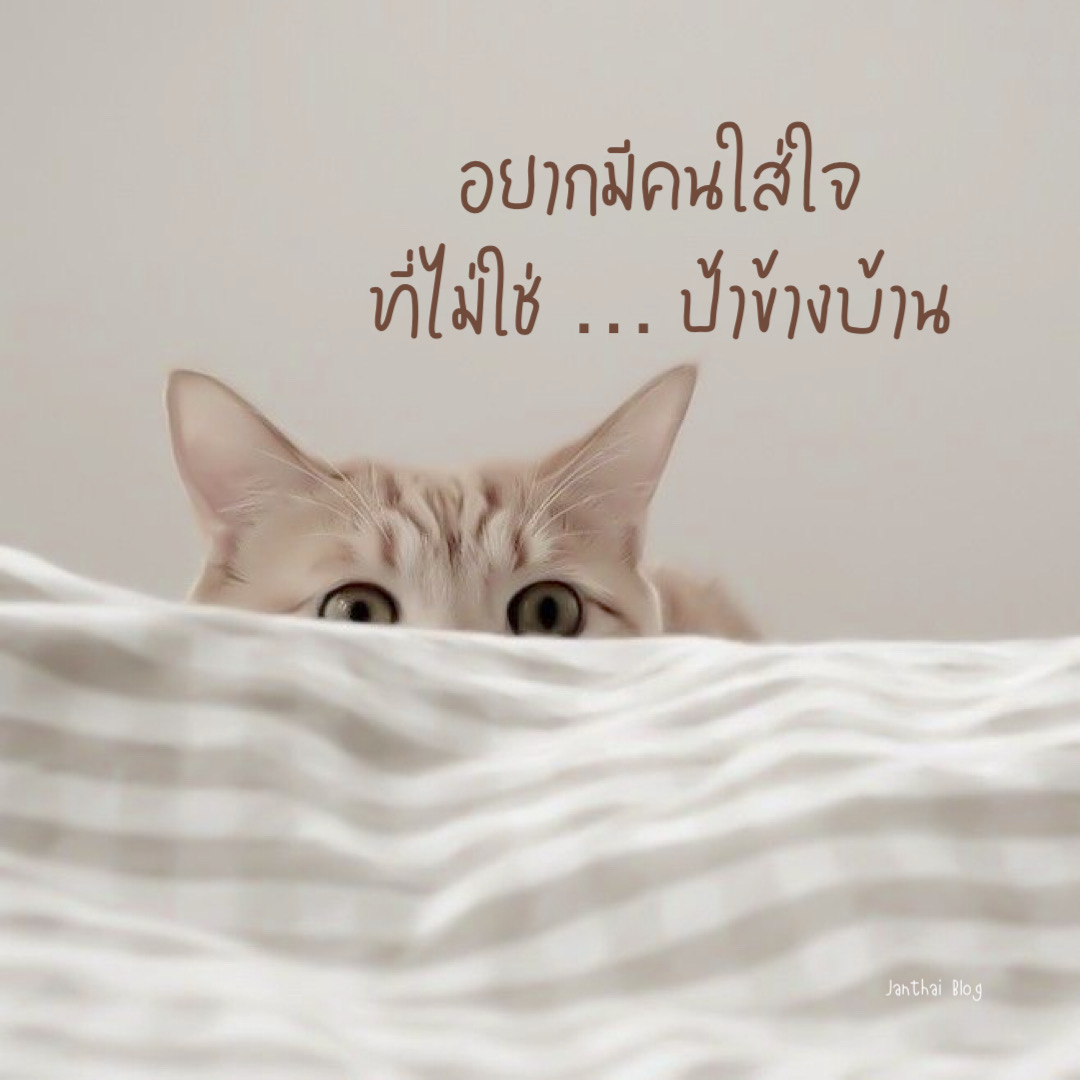 อยากมีคนใส่ใจ ที่ไม่ใช่ป้าข้างบ้าน
