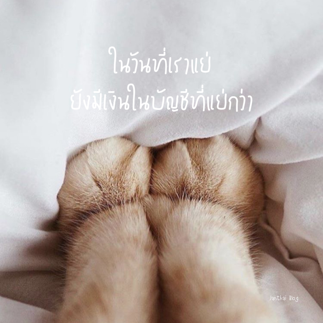 ในวันที่เราแย่ ยังมีเงินในบัญชีที่แย่กว่า