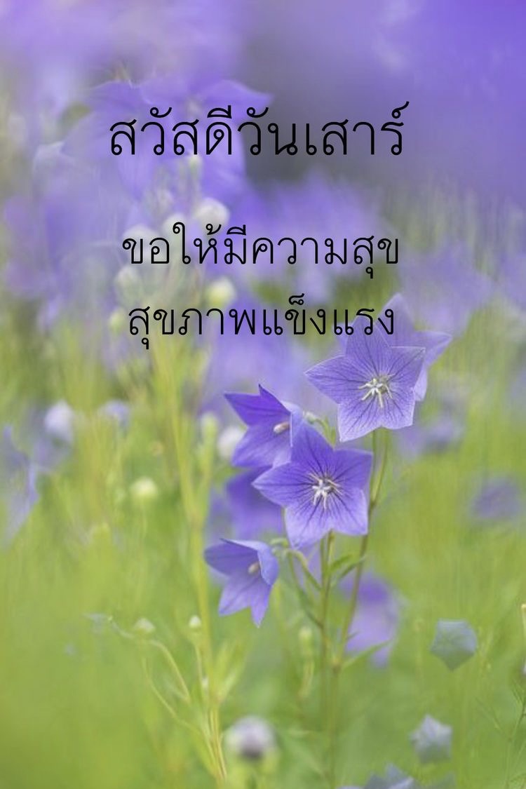 ขอให้มีความสุข