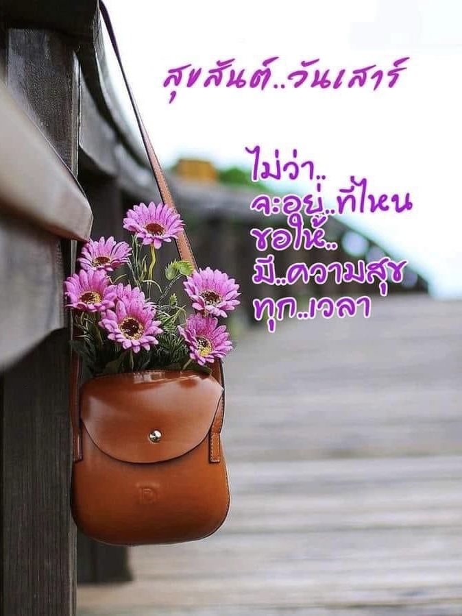 จะอยู่ที่ไหนขอให้มีความสุข