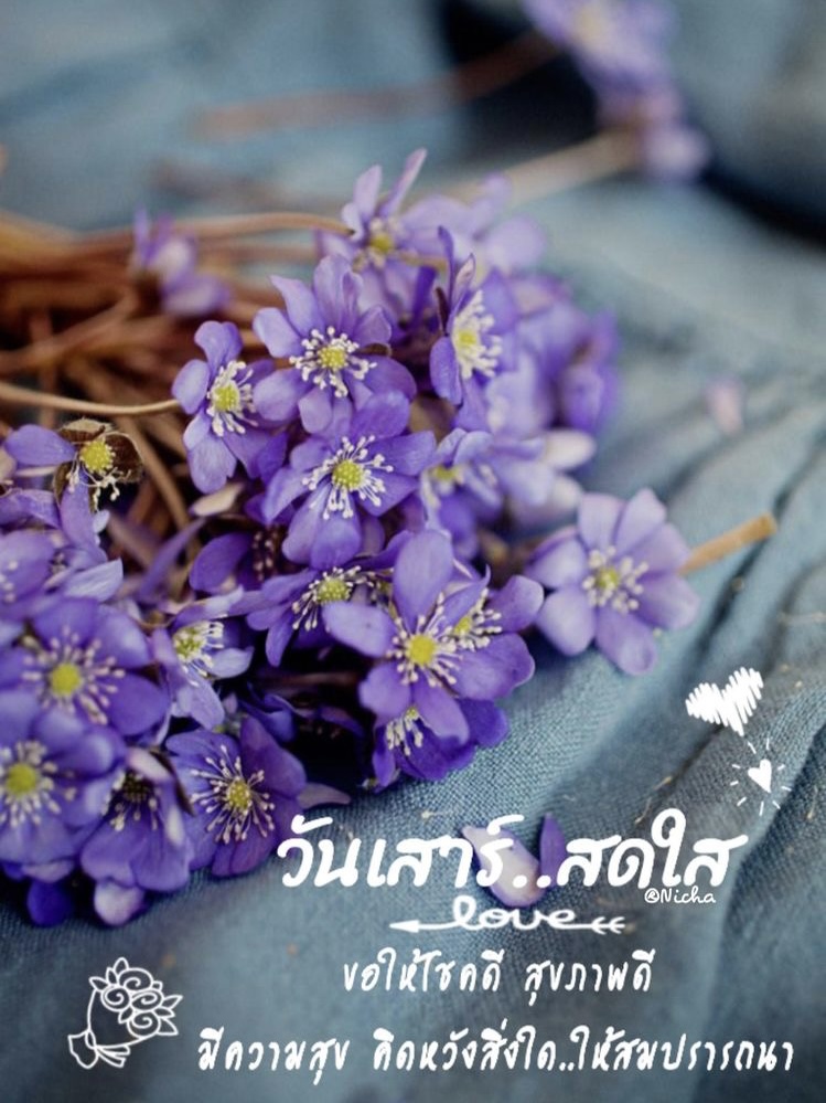 ขอให้โชคดี สุขภาพดี