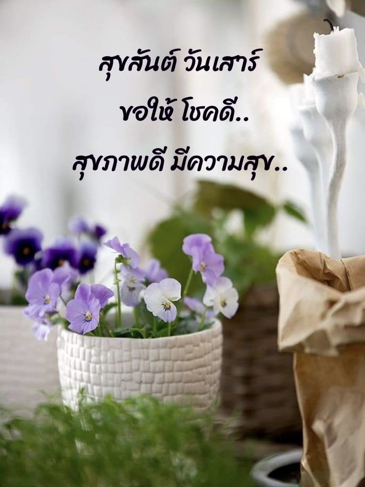 สุขสันต์วันเสาร์
