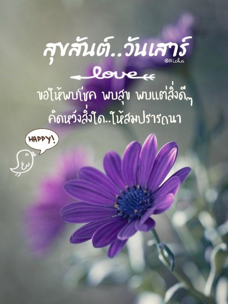 ขอให้พบโชค พบสุข