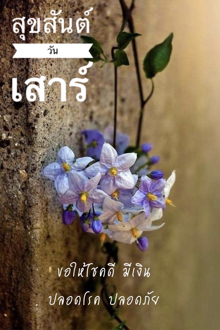 ขอให้โชคดีมีเงิน