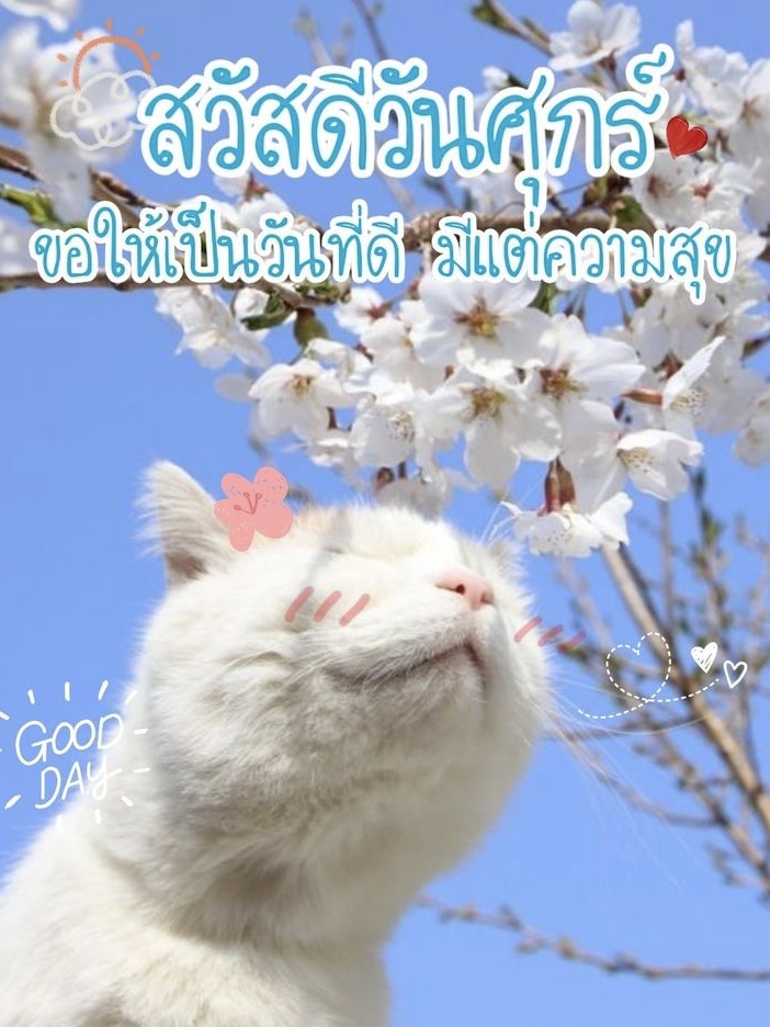 ขอให้เป็นวันที่ดี