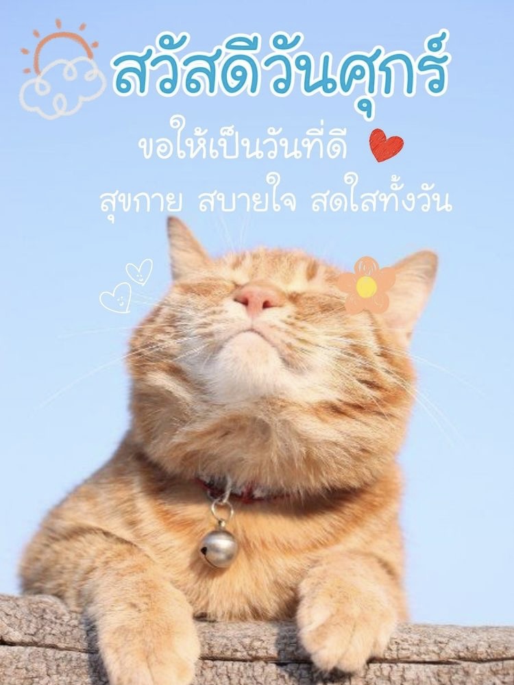 สุขกาย สบายใจ