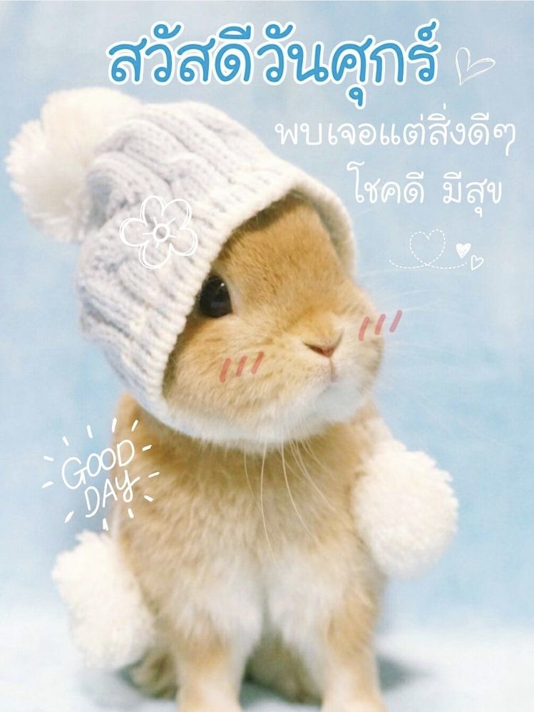 พบเจอแต่สิ่งดีดี