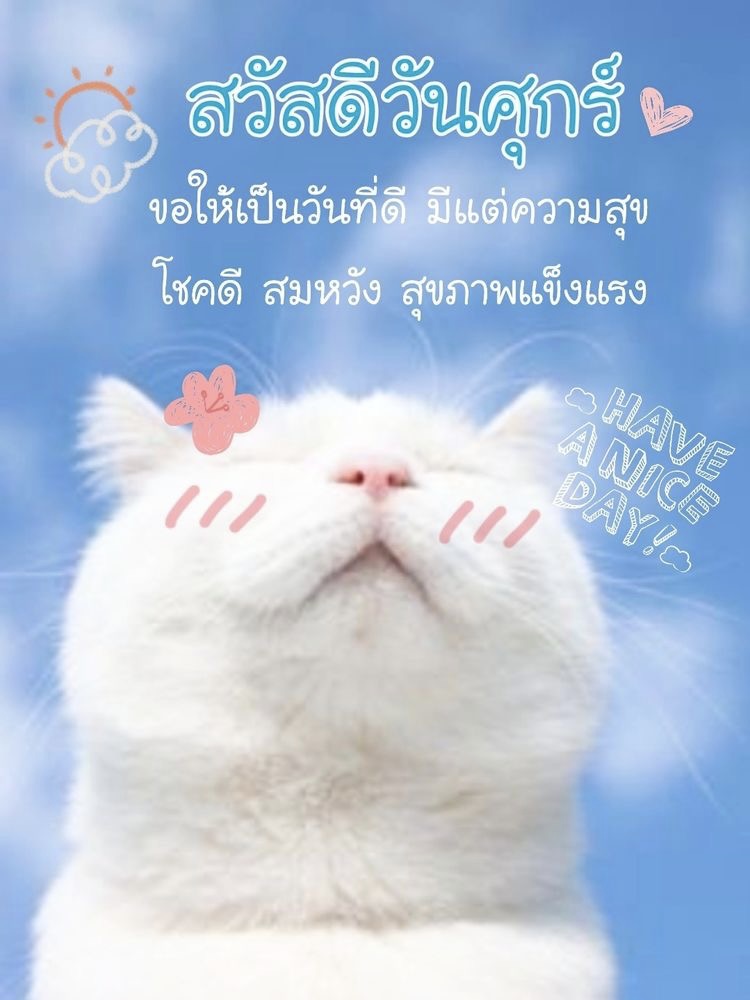 ขอให้เป็นวันที่ดี มีแต่ความสุข