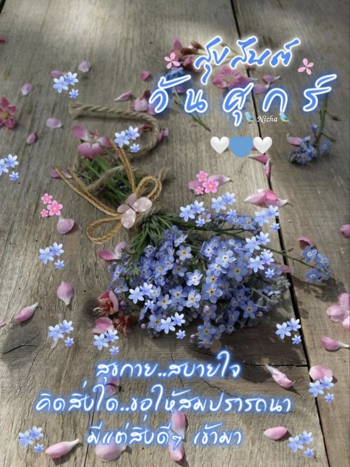 สุขกาย สบายใจ