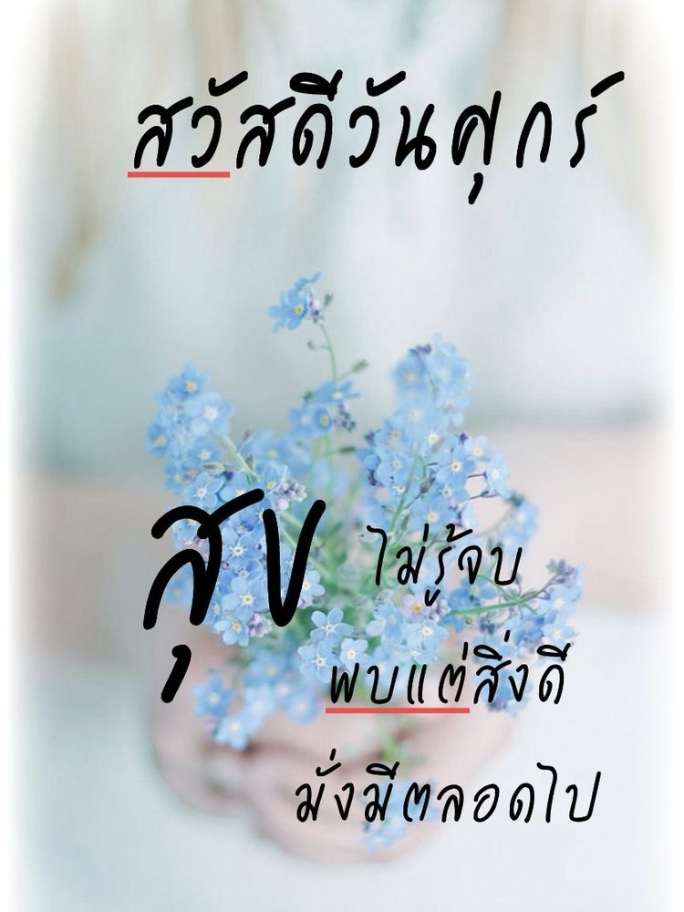 สุขไม่รู้จบ