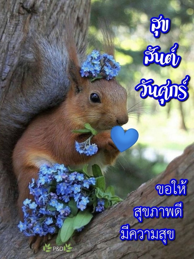 ขอให้สุขภาพดี มีความสุข