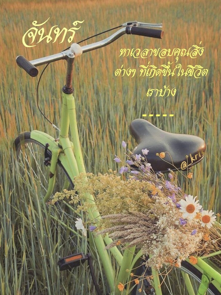 หาเวลาขอบคุณสิ่งต่างๆ