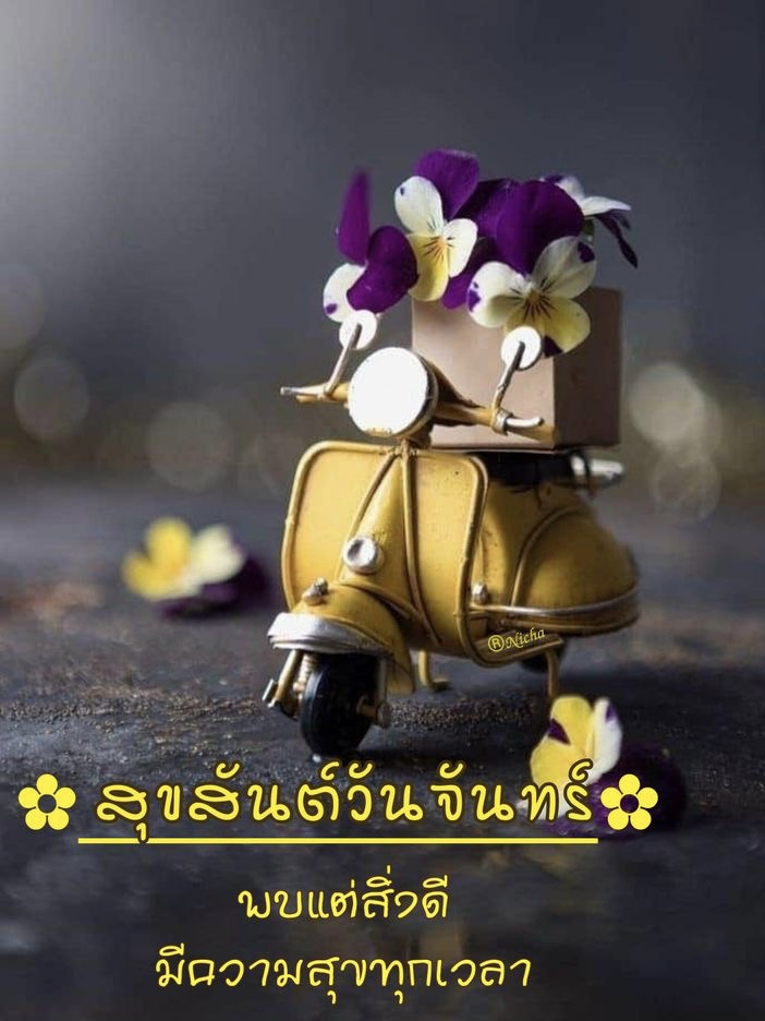 พบแต่สิ่งดีๆ มีความสุขทุกเวลา