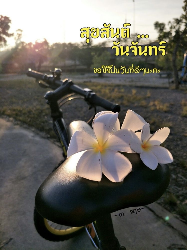 ขอให้เป็นวันที่ดีๆ