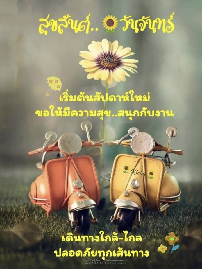 เริ่มต้นสัปดาห์ใหม่