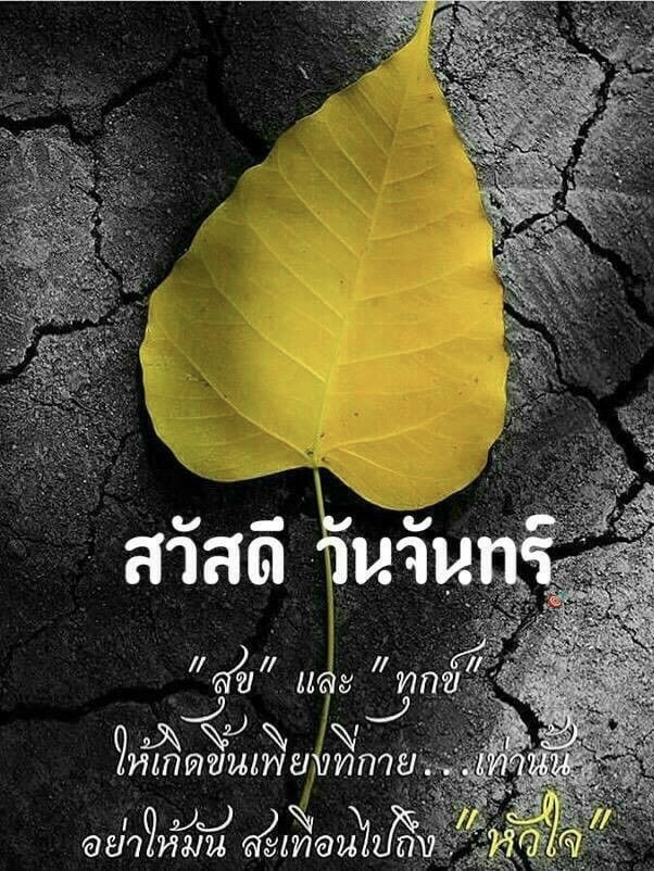 สุข และทุกข์