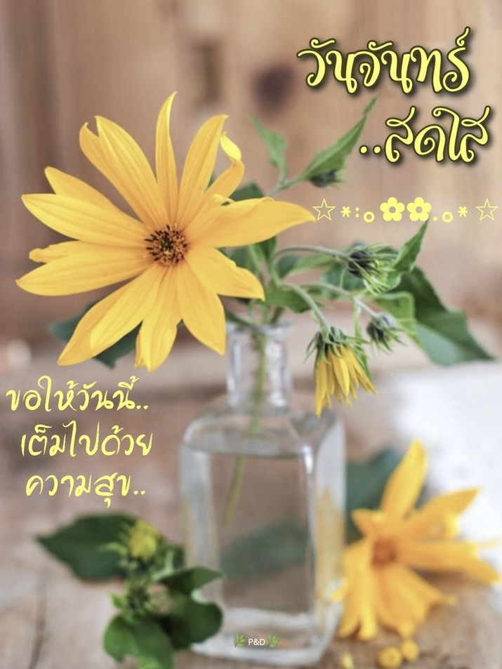 วัยจันทร์สดใส