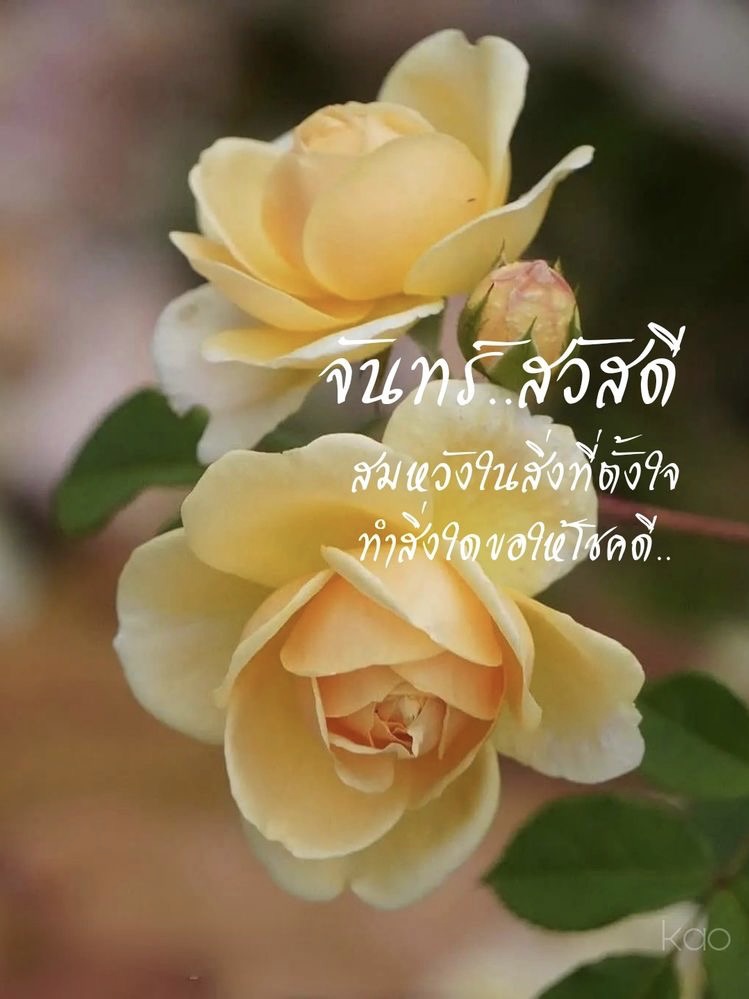 สมหวังในสิ่งที่ตั้งใจ