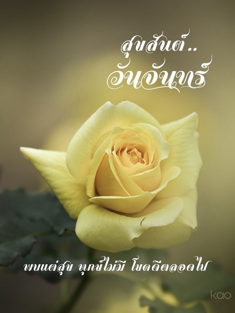 พบแต่สุข ทุกข์ไม่มี