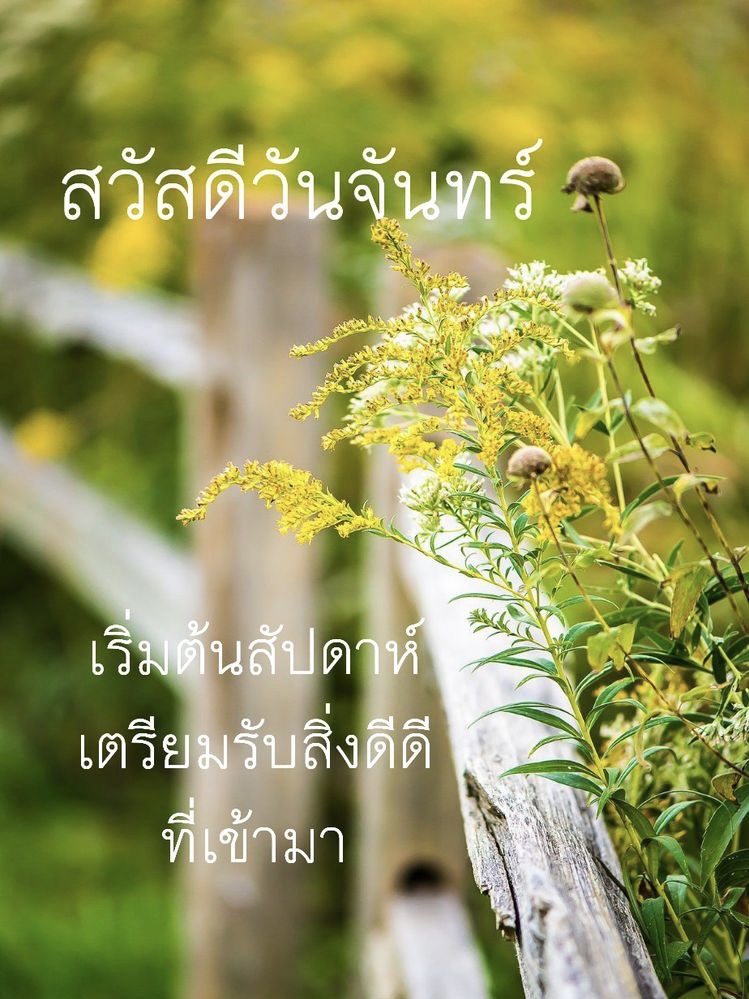 เตรียมรับสิ่งดีๆ