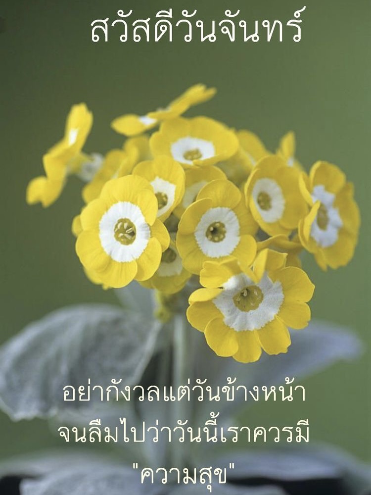 อย่ากังวลแต่วันข้างหน้า