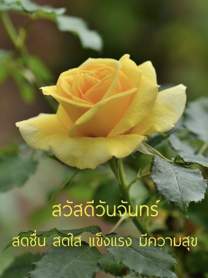 สดชื่น สดใส