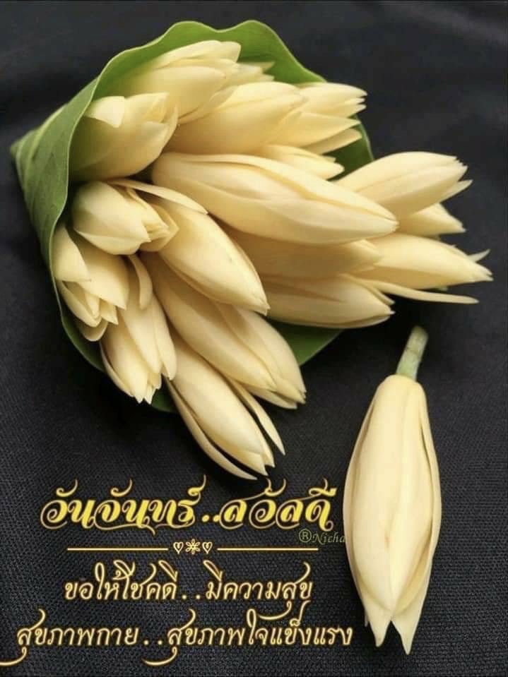 ขอให้โชคดี มีความสุข