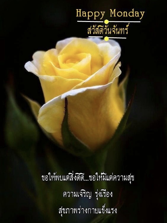 ขอให้มีแต่ความสุข