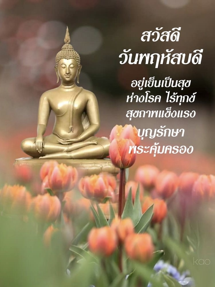 อยู่เย็น เป็นสุข ห่างโรค ไร้ทุกข์