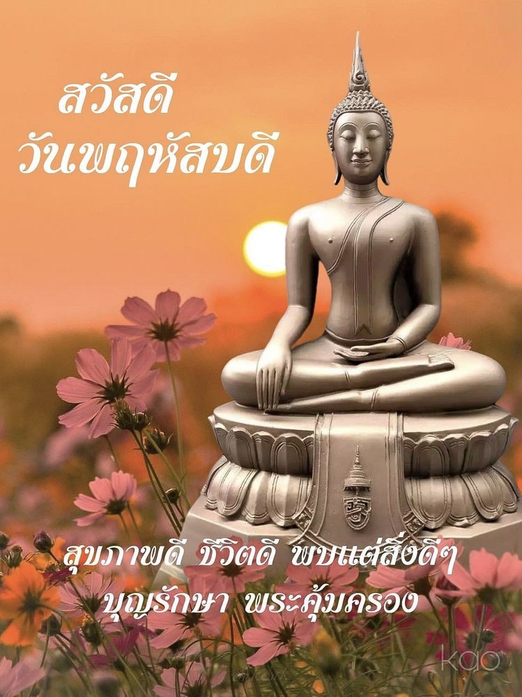 สุขภาพดี ชีวิตดี พบแต่สิ่งดีๆ