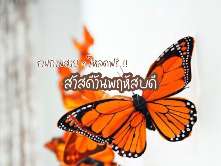 สวัสดีวันพฤหัสบดี