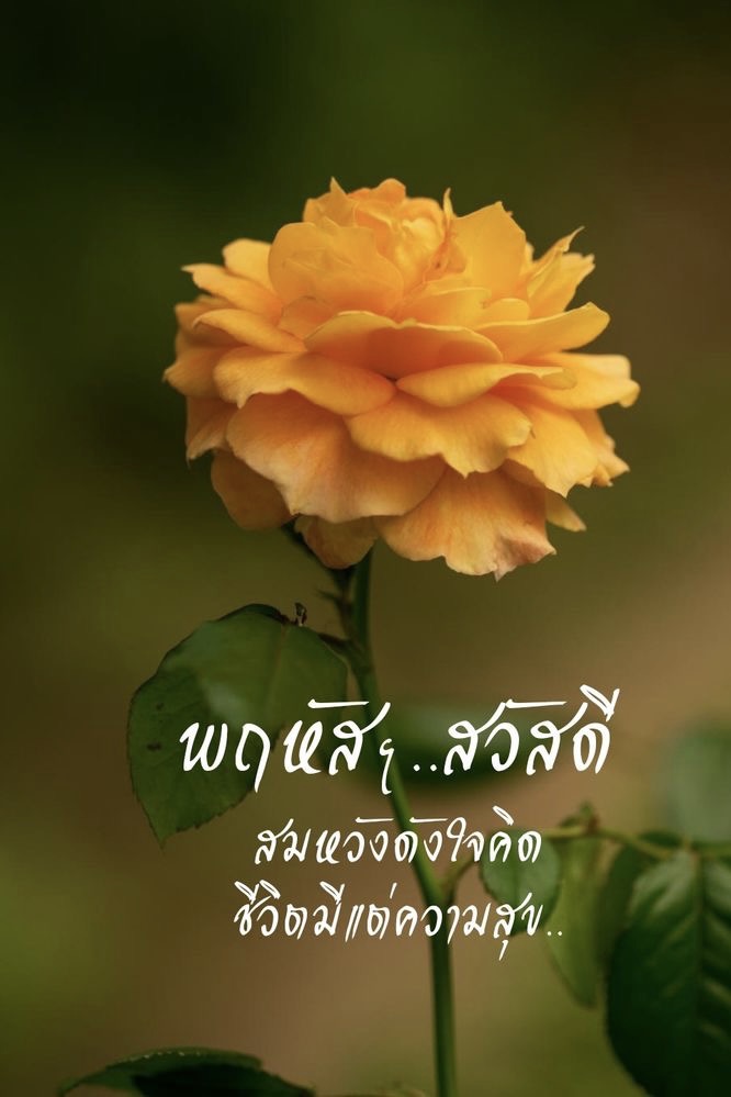 สมหวังดั่งใจคิด ชีวิตมีแต่ความสุข