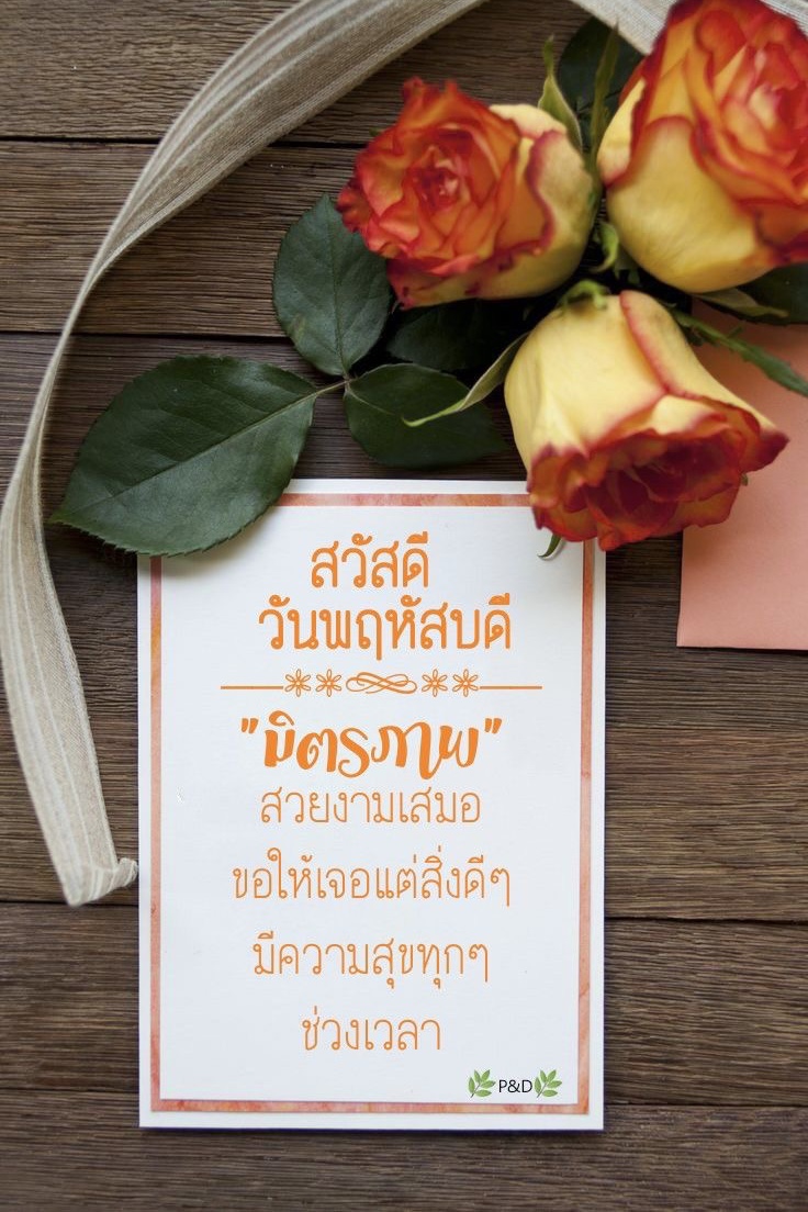 มิตรภาพสวยงามเสมอ