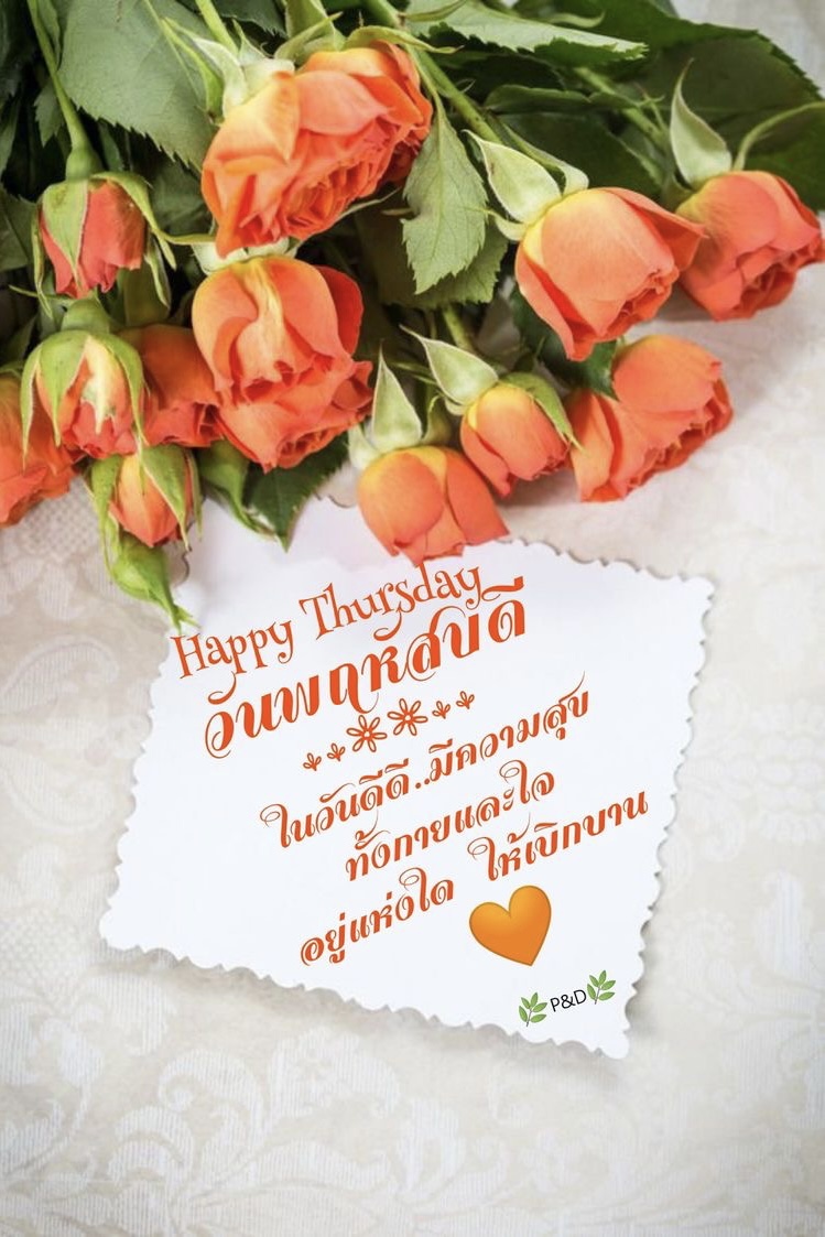 ในวันดีดี มีีความสุข
