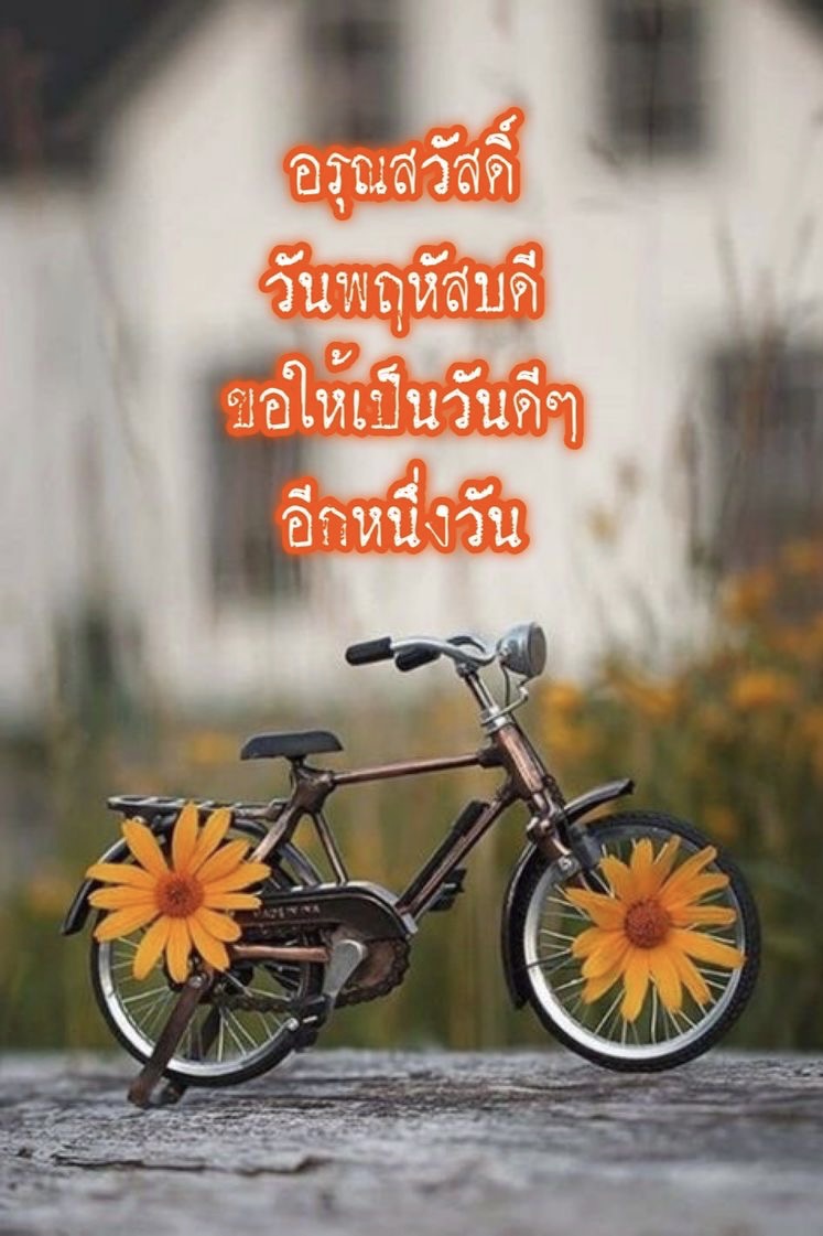 ขอให้เป็นวันดี ๆ อีกหนึ่งวัน